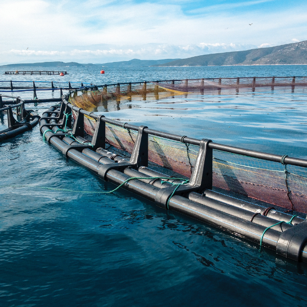 Aquaculture image