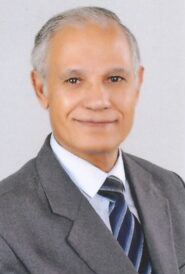 Prof-Abdel-Fattah-M-El-Sayed